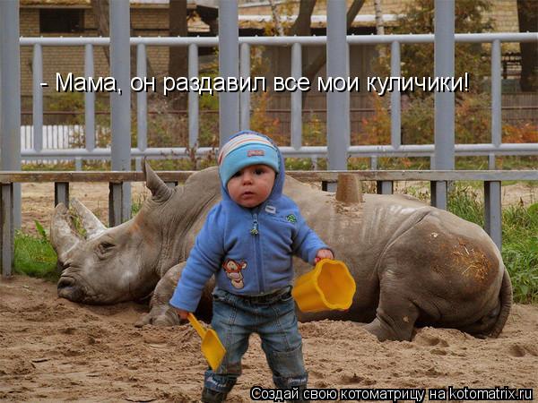 - Мама, он раздавил все мои куличики!... Котоматрица: - Мама, он раздавил все мои куличики!