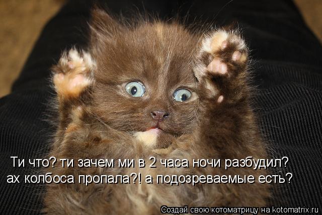 Ти что? ти зачем ми в 2 часа ночи разбудил? ах колбоса пропала?! а подозреваемые есть?... Котоматрица: Ти что? ти зачем ми в 2 часа ночи разбудил? ах колбоса пропала?! а подозреваемые есть?