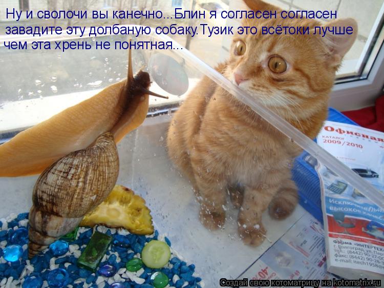 Ну и сволочи вы канечно...Блин я согласен согласен завадите эту долбаную собаку.Тузик это всётоки луч... Котоматрица: Ну и сволочи вы канечно...Блин я согласен согласен завадите эту долбаную собаку.Тузик это всётоки лучше чем эта хрень не понятная...