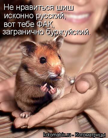 исконно русский, вот тебе ФАК, загранично буржуйский. Не нравиться шиш... Котоматрица: исконно русский, вот тебе ФАК, загранично буржуйский. Не нравиться шиш