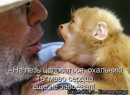 - Не лезь целоваться, охальник! Ты маво сердца еще не завоевал!... Котоматрица: - Не лезь целоваться, охальник! Ты маво сердца еще не завоевал!