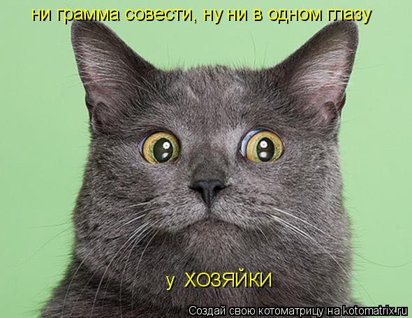 ни грамма совести, ну ни в одном глазу у ХОЗЯЙКИ... Котоматрица: ни грамма совести, ну ни в одном глазу у ХОЗЯЙКИ