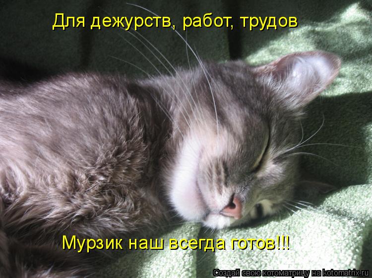 Для дежурств, работ, трудов Мурзик наш всегда готов!!!... Котоматрица: Для дежурств, работ, трудов Мурзик наш всегда готов!!!