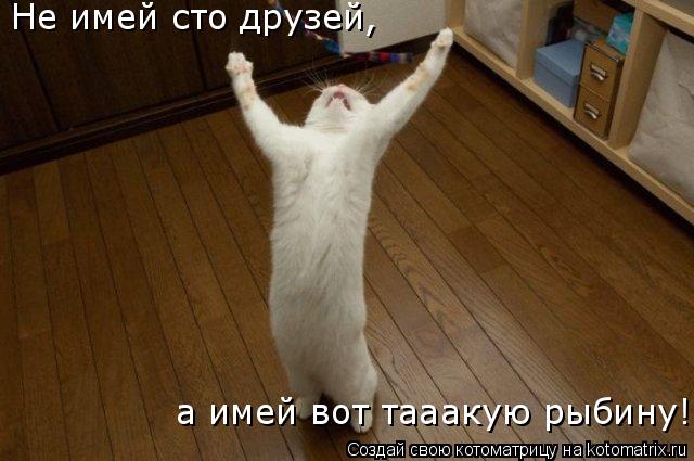 Не имей сто друзей, а имей вот тааакую рыбину!... Котоматрица: Не имей сто друзей, а имей вот тааакую рыбину!