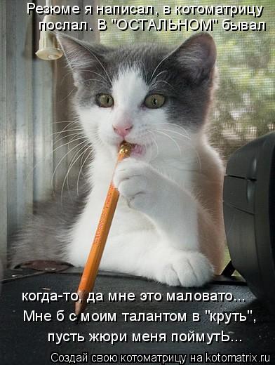 Котоматрица: Резюме я написал, в котоматрицу  послал. В "ОСТАЛЬНОМ" бывал  когда-то, да мне это маловато... Мне б с моим талантом в "круть", пусть жюри меня по