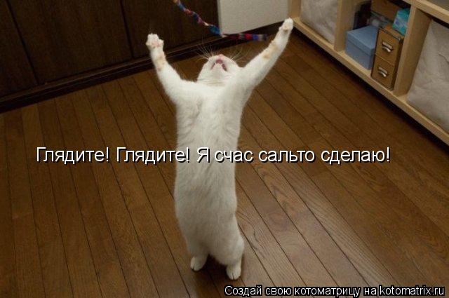 Глядите! Глядите! Я счас сальто сделаю!... Котоматрица: Глядите! Глядите! Я счас сальто сделаю!