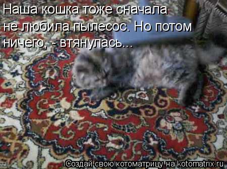 Наша кошка тоже сначала не любила пылесос. Но потом ничего, - втянулась...... Котоматрица: Наша кошка тоже сначала не любила пылесос. Но потом ничего, - втянулась...
