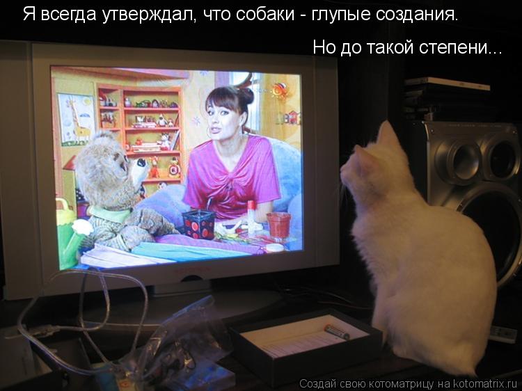 Котоматрица: Я всегда утверждал, что собаки - глупые создания. Но до такой степени...