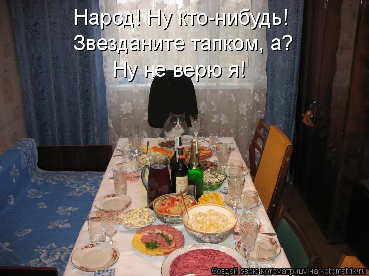 Котоматрица: Народ! Ну кто-нибудь! Звезданите тапком, а? Ну не верю я!