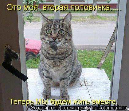 Это моя вторая половинка..... Теперь МЫ будем жить вместе.... Котоматрица: Это моя вторая половинка..... Теперь МЫ будем жить вместе.