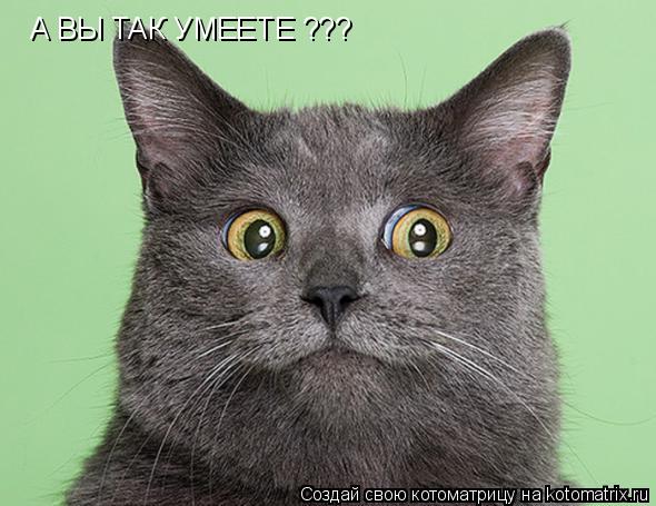 А ВЫ ТАК УМЕЕТЕ ???... Котоматрица: А ВЫ ТАК УМЕЕТЕ ???