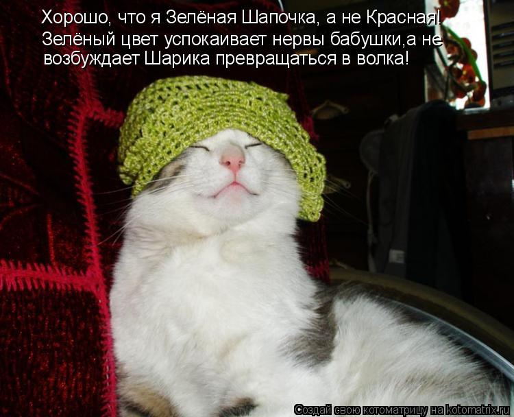 Котоматрица: Хорошо, что я Зелёная Шапочка, а не Красная! Зелёный цвет успокаивает нервы бабушки,а не возбуждает Шарика превращаться в волка!