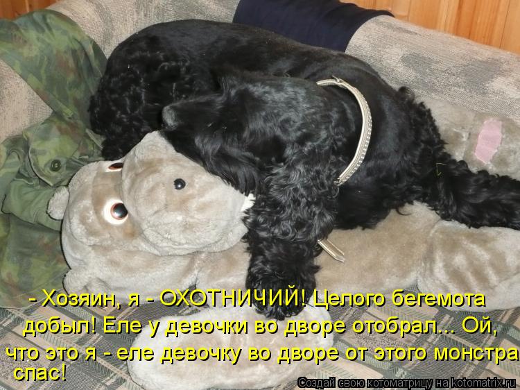 Котоматрица: - Хозяин, я - ОХОТНИЧИЙ! Целого бегемота добыл! Еле у девочки во дворе отобрал... Ой, что это я - еле девочку во дворе от этого монстра спас!