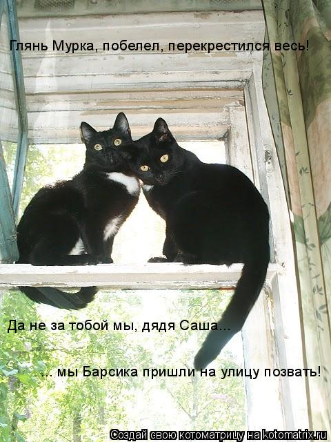 Котоматрица: Глянь Мурка, побелел, перекрестился весь! Да не за тобой мы, дядя Саша... ... мы Барсика пришли на улицу позвать!