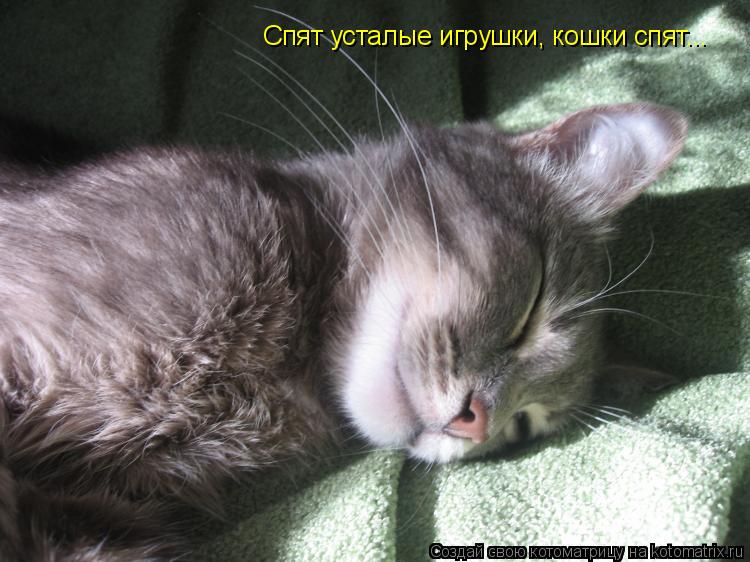 Спят усталые игрушки, кошки спят...... Котоматрица: Спят усталые игрушки, кошки спят...