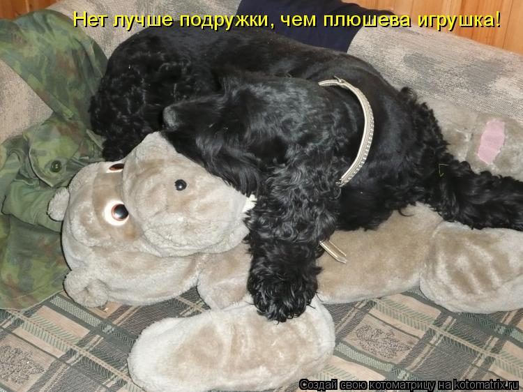 Нет лучше подружки, чем плюшева игрушка!... Котоматрица: Нет лучше подружки, чем плюшева игрушка!