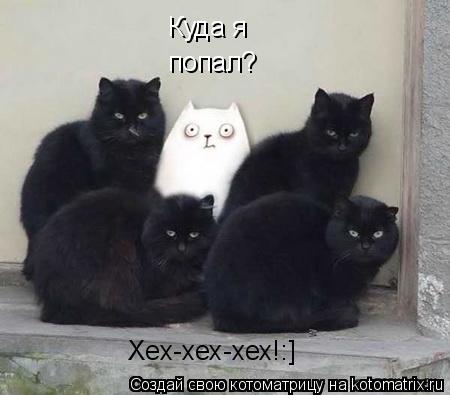 Котоматрица: Куда я попал? Хех-хех-хех!:]
