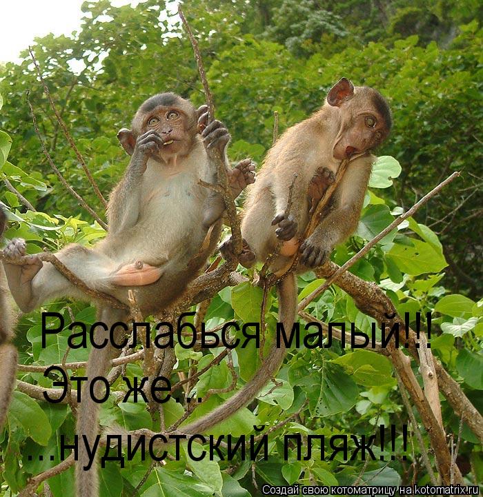 Расслабься малый!!! Это же... ...нудистский пляж!!!... Котоматрица: Расслабься малый!!! Это же... ...нудистский пляж!!!