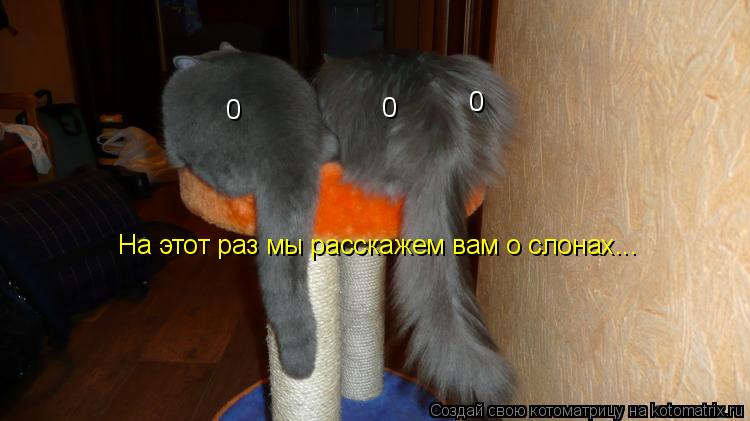 0 0 0 На этот раз мы расскажем вам о слонах...... Котоматрица: 0 0 0 На этот раз мы расскажем вам о слонах...