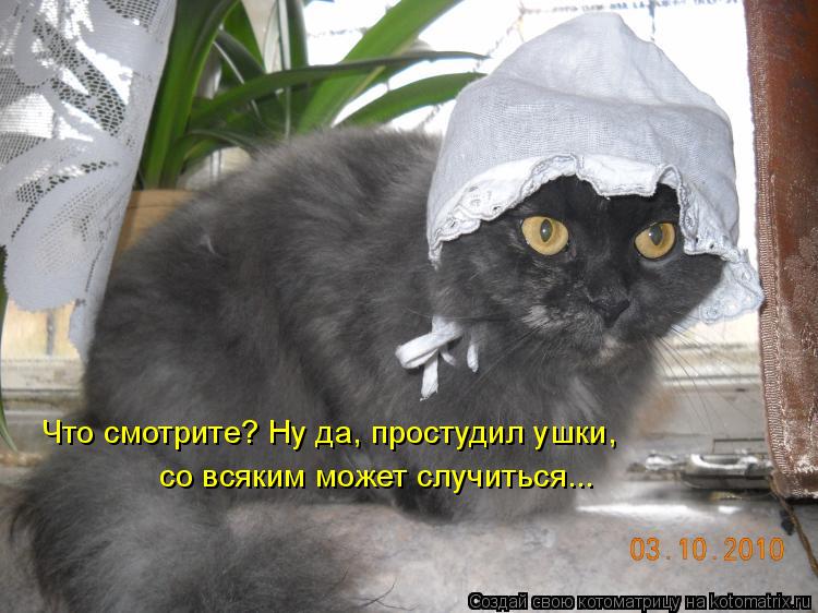 Что смотрите? Ну да, простудил ушки, со всяким может случиться...... Котоматрица: Что смотрите? Ну да, простудил ушки, со всяким может случиться...