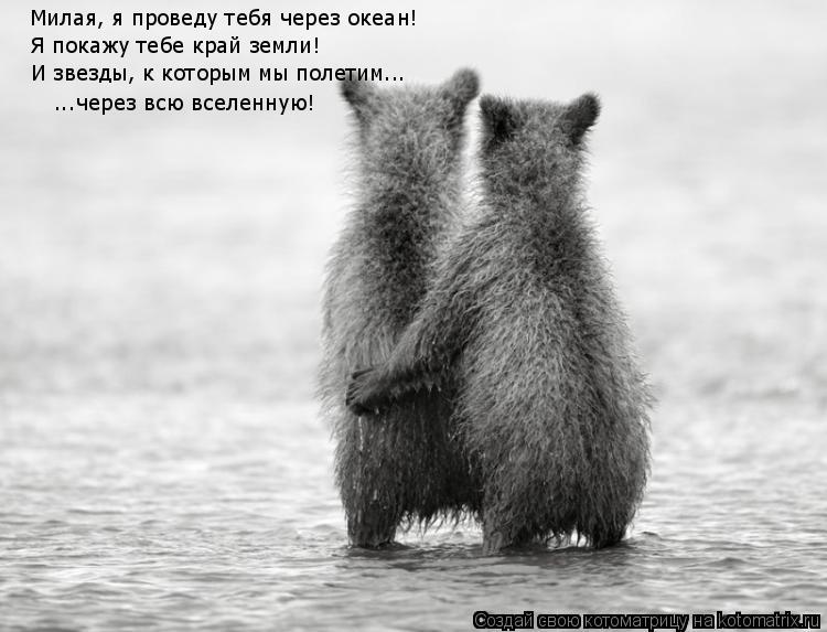 Котоматрица: Милая, я проведу тебя через океан! Я покажу тебе край земли! И звезды, к которым мы полетим... ...через всю вселенную!