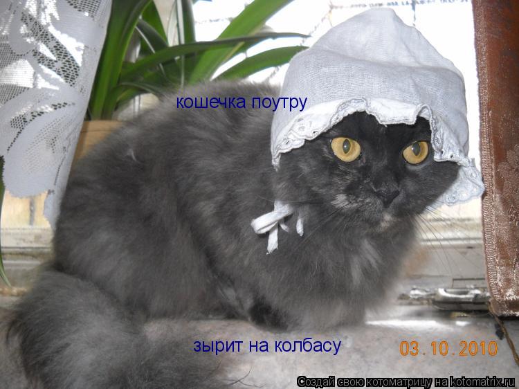 Котоматрица: кошечка поутру кошечка поутру зырит на колбасу