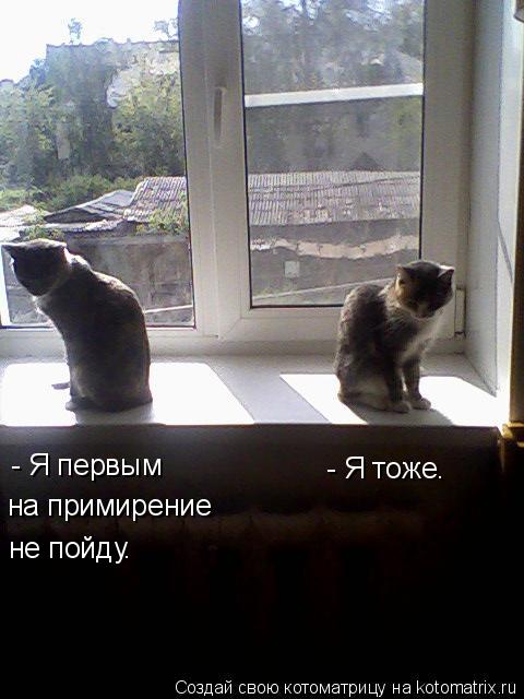 - Я первым на примирение не пойду. - Я тоже.... Котоматрица: - Я первым на примирение не пойду. - Я тоже.