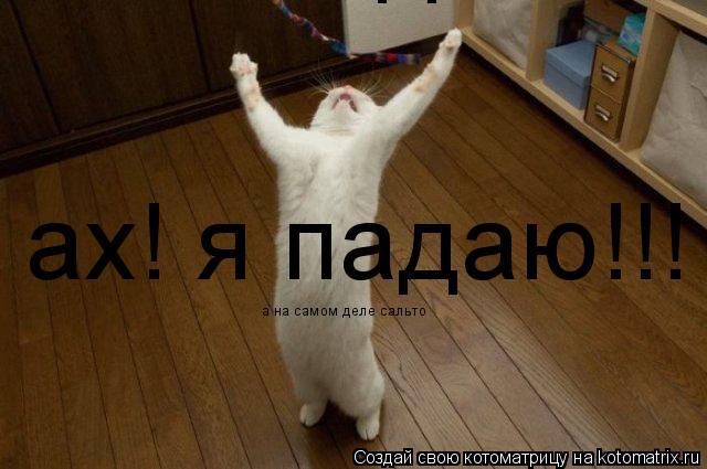 Котоматрица: ах! я падаю!!! ах! я падаю а на самом деле сальто