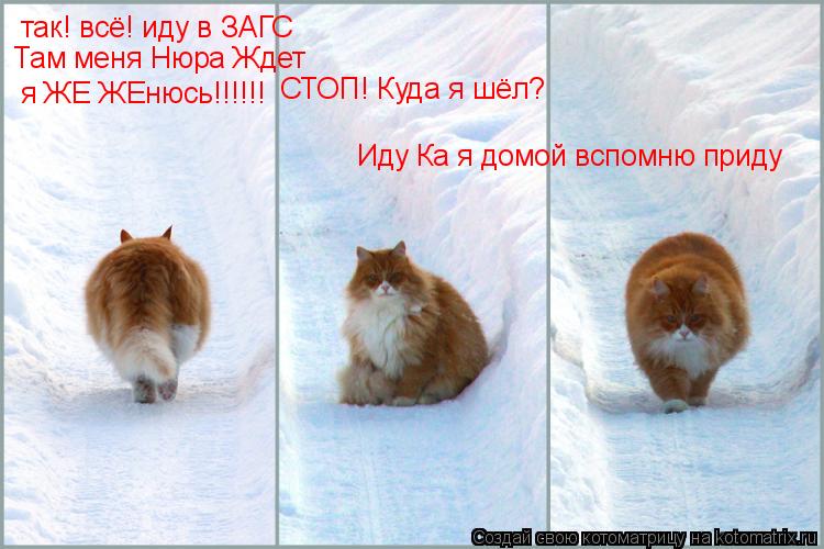 Котоматрица: СТОП! Куда я шёл? так! всё! иду в ЗАГС  Там меня Нюра Ждет  я ЖЕ ЖЕнюсь!!!!!! Иду Ка я домой вспомню приду