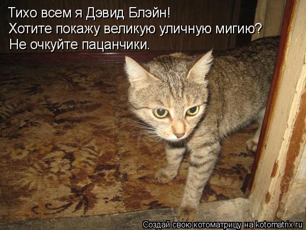 Котоматрица: Тихо всем я Дэвид Блэйн! Хотите покажу великую уличную мигию? Не очкуйте пацанчики.