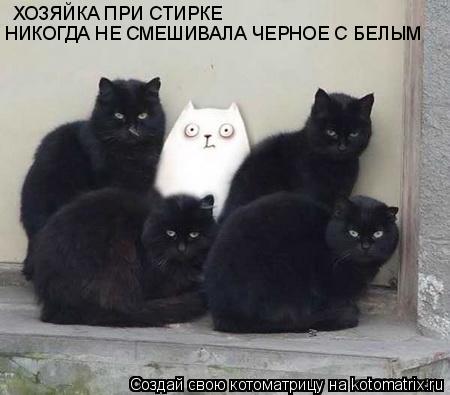 Котоматрица: ХОЗЯЙКА ПРИ СТИРКЕ НИКОГДА НЕ СМЕШИВАЛА ЧЕРНОЕ С БЕЛЫМ