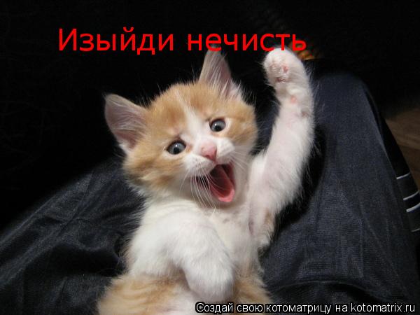 Котоматрица: Изыйди нечисть