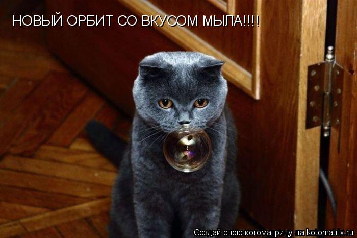Котоматрица: НОВЫЙ ОРБИТ СО ВКУСОМ МЫЛА!!!!
