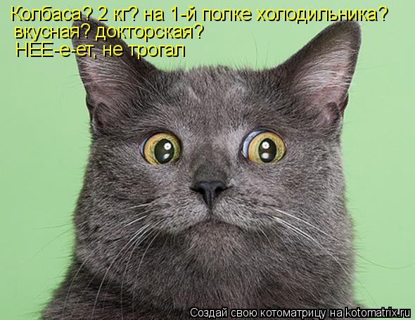 Колбаса? 2 кг? на 1-й полке холодильника? вкусная? докторская? НЕЕ-е-ет, не трогал... Котоматрица: Колбаса? 2 кг? на 1-й полке холодильника? вкусная? докторская? НЕЕ-е-ет, не трогал