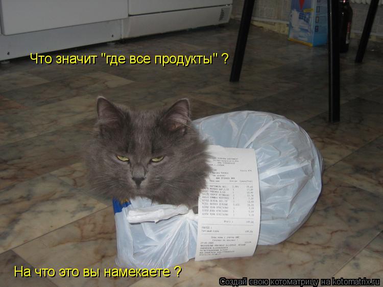 Что значит "где все продукты" ? На что это вы намекаете ?... Котоматрица: Что значит "где все продукты" ? На что это вы намекаете ?