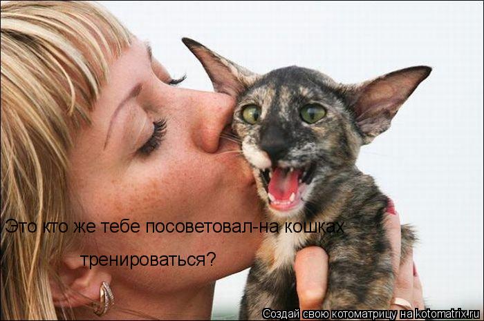 Это кто же тебе посоветовал-на кошках тренироваться?... Котоматрица: Это кто же тебе посоветовал-на кошках тренироваться?