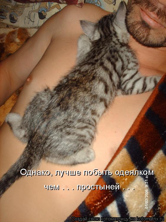 Однако, лучше побыть одеялком чем . . . простыней . . .... Котоматрица: Однако, лучше побыть одеялком чем . . . простыней . . .