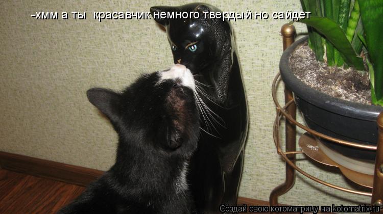 -хмм а ты красавчик немного твердый но сайдет... Котоматрица: -хмм а ты красавчик немного твердый но сайдет
