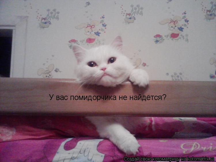 У вас помидорчика не найдётся?... Котоматрица: У вас помидорчика не найдётся?