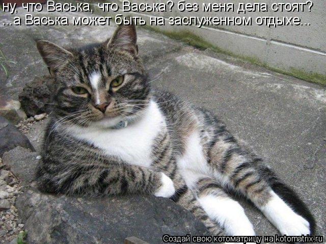 ну, что Васька, что Васька? без меня дела стоят? ...а Васька может быть на заслуженном отдыхе...... Котоматрица: ну, что Васька, что Васька? без меня дела стоят? ...а Васька может быть на заслуженном отдыхе...