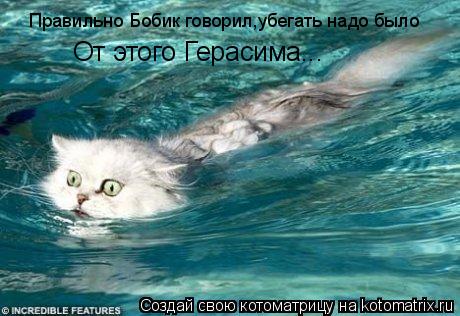 Правильно Бобик говорил,убегать надо было От этого Герасима...... Котоматрица: Правильно Бобик говорил,убегать надо было От этого Герасима...