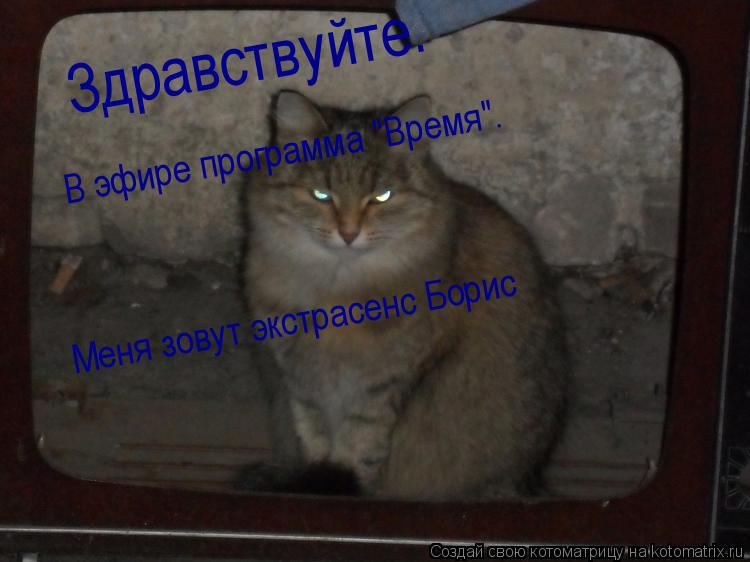 Здравствуйте. Здравствуйте. В эфире программа "Время". Меня зовут экстрасенс Борис... Котоматрица: Здравствуйте. Здравствуйте. В эфире программа "Время". Меня зовут экстрасенс Борис