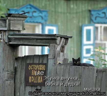 Котоматрица: ые ,Жучка,внучка, бабка и дедка! мышка