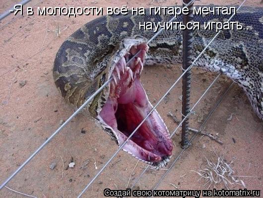 -Я в молодости всё на гитаре мечтал научиться играть...... Котоматрица: -Я в молодости всё на гитаре мечтал научиться играть...