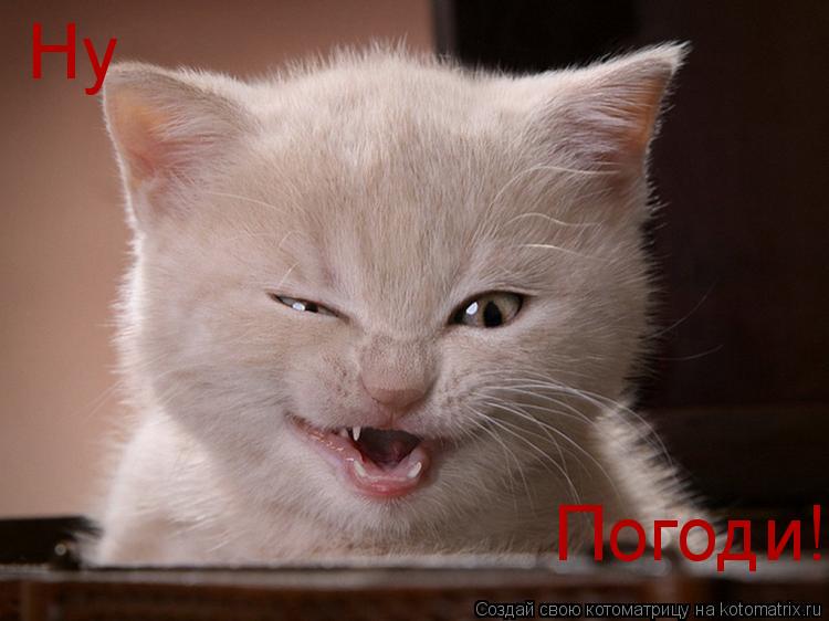 Ну Погоди!... Котоматрица: Ну Погоди!