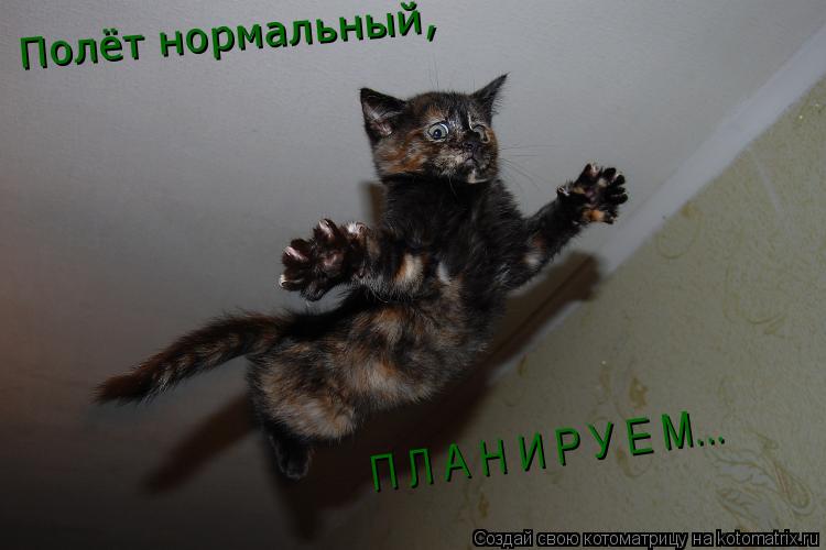 Полёт нормальный, П Л А Н И Р У Е М...... Котоматрица: Полёт нормальный, П Л А Н И Р У Е М...