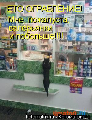 ЕТО ОГРАБЛЕНИЕ! Мне, пожалуста, валерьянки и побольше!!!!... Котоматрица: ЕТО ОГРАБЛЕНИЕ! Мне, пожалуста, валерьянки и побольше!!!!