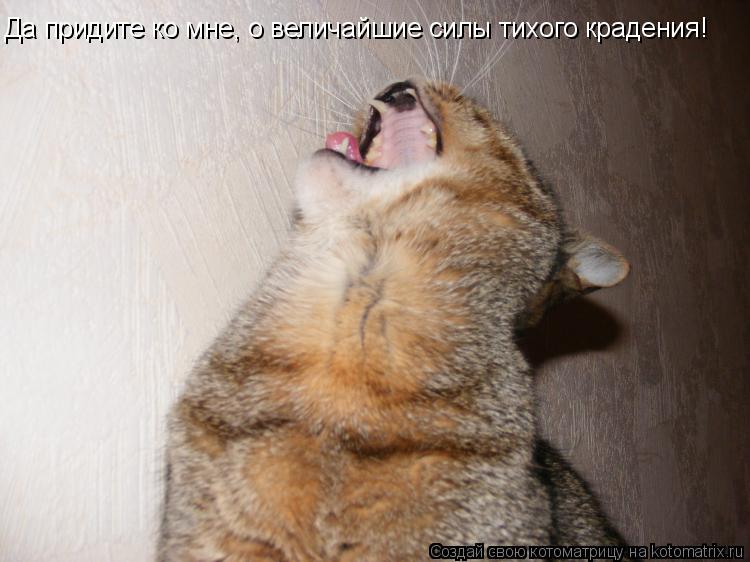Да придите ко мне, о величайшие силы тихого крадения!... Котоматрица: Да придите ко мне, о величайшие силы тихого крадения!