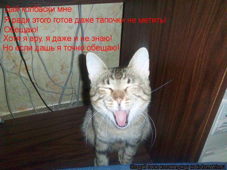 Дай колбаски мне Я ради этого готов даже тапочки не метить! Обещаю! Хотя я вру, я даже и не знаю! Но... Котоматрица: Дай колбаски мне Я ради этого готов даже тапочки не метить! Обещаю! Хотя я вру, я даже и не знаю! Но если дашь я точно обещаю!