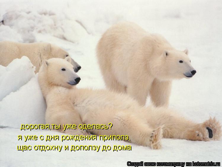 дорогая,ты уже оделась? я уже с дня рождения приполз, щас отдохну и доползу до дома... Котоматрица: дорогая,ты уже оделась? я уже с дня рождения приполз, щас отдохну и доползу до дома
